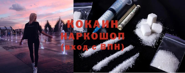 дмт Богородицк