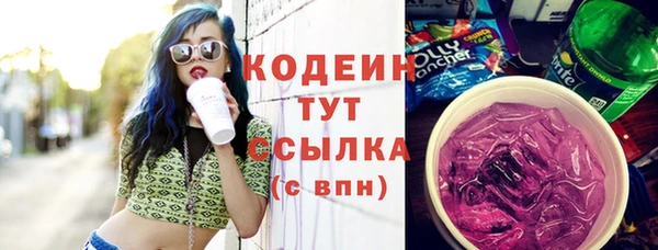 дмт Богородицк