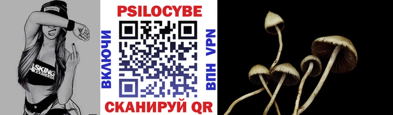 Псилоцибиновые грибы GOLDEN TEACHER  Наро-Фоминск 